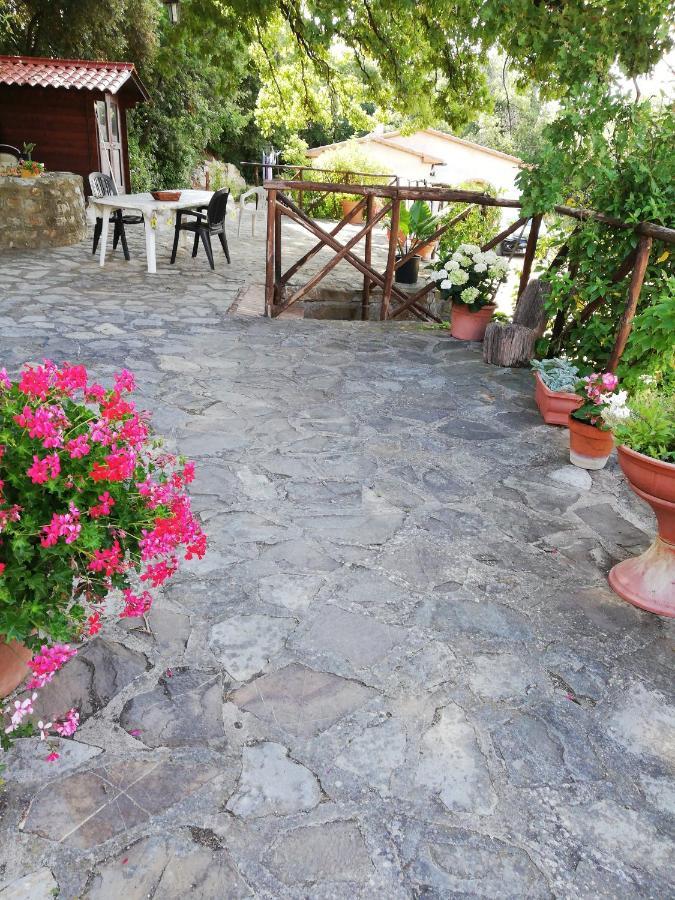 Villino Rosi Villa Monteverdi Marittimo Exteriör bild