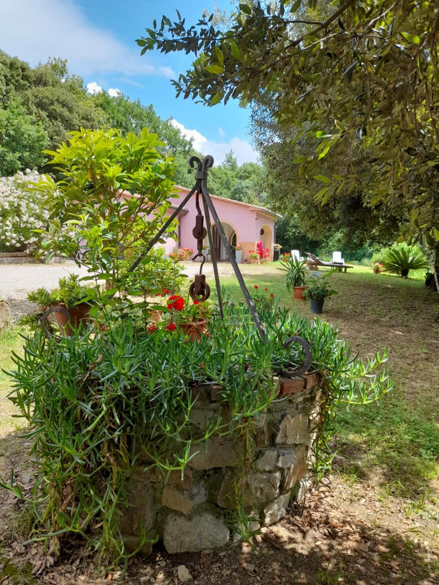 Villino Rosi Villa Monteverdi Marittimo Exteriör bild